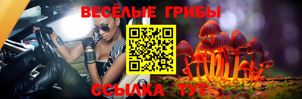Галлюциногенные грибы GOLDEN TEACHER  Галлюциногенные грибы Psilocybine cubensis  Вход с VPN  Трёхгорный 