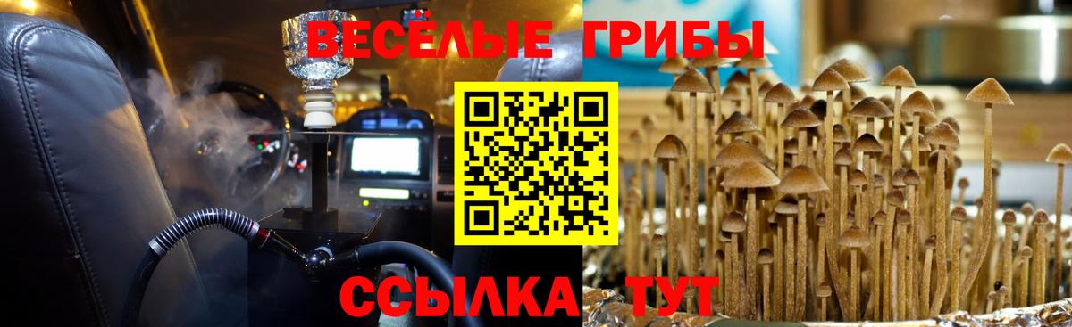 Псилоцибиновые грибы Magic Shrooms Трёхгорный